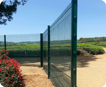 Sotik Tea Farm Project by A1 Fence
